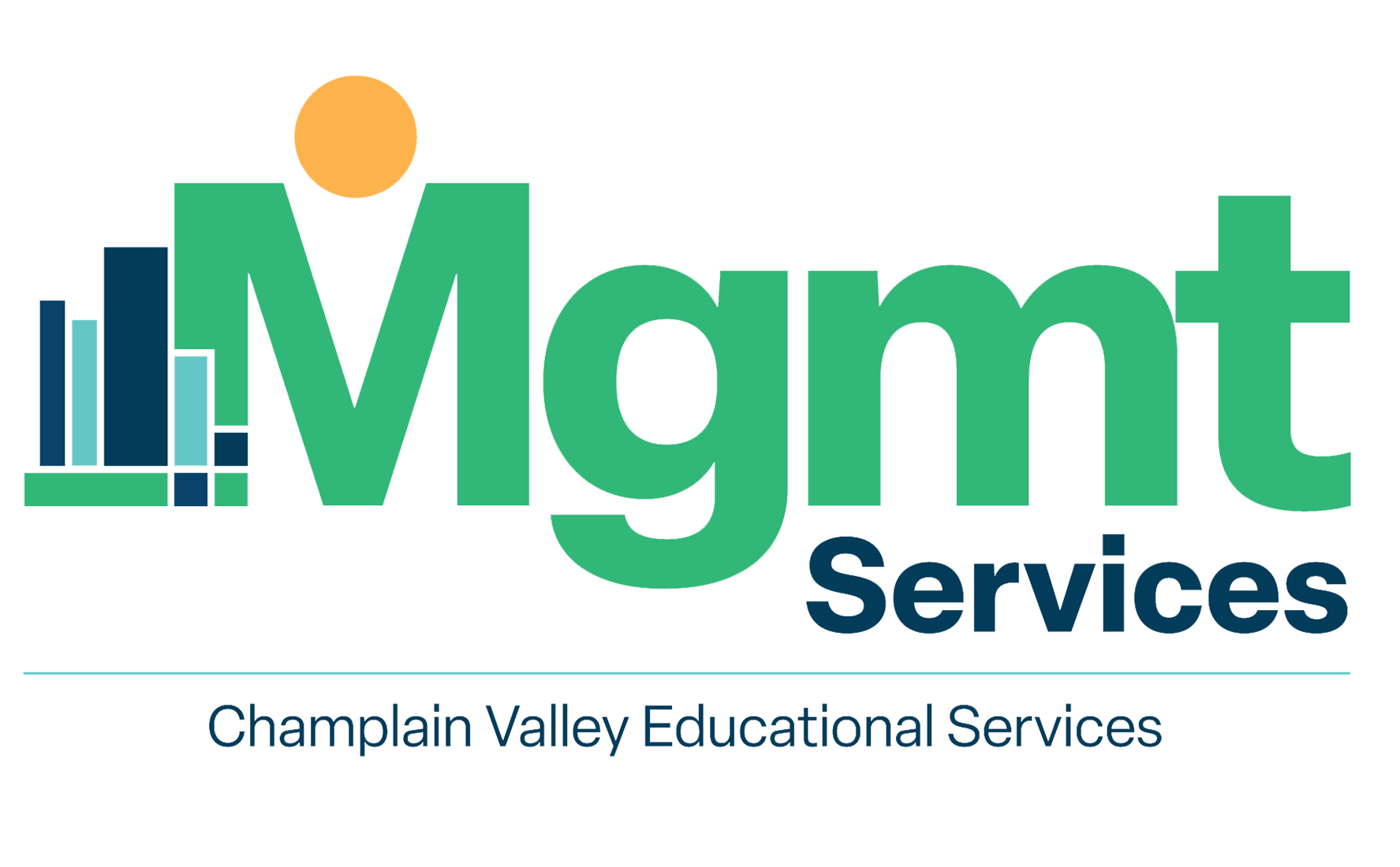 Management Services